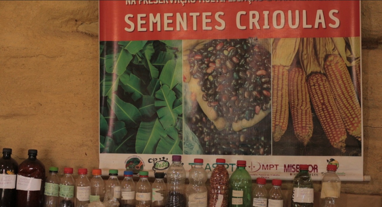 Paranà, Brasile – Casa delle Sementi